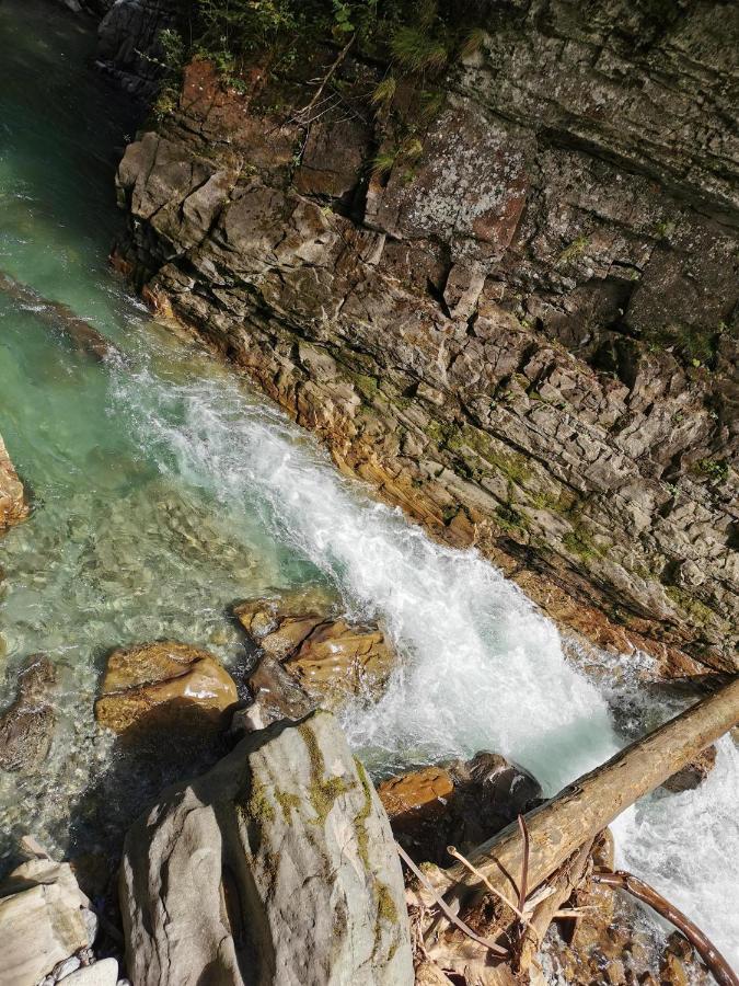 Ferienwohnung Nest Wangen im Allgaeu Luaran gambar