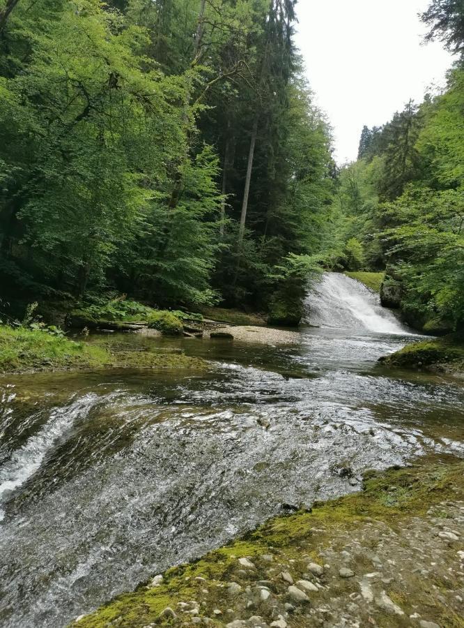Ferienwohnung Nest Wangen im Allgaeu Luaran gambar